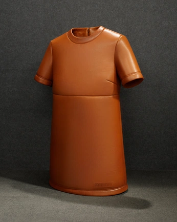 A cover of "Portfolio" cluster. The owner is meisyou. The cluster consists of 53 elements.