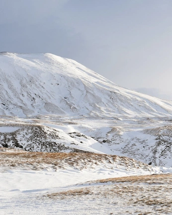 A cover of "Cool collage" cluster. The owner is annieli. The cluster consists of 1 element.