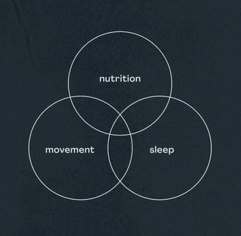 A cover of "Nutrition" cluster. The owner is olga.wjdzs. The cluster consists of 25 elements.