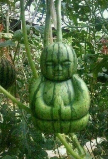 A cover of "Mind" cluster. The owner is lqkpas. The cluster consists of 6 elements.