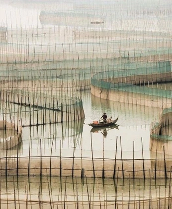 A cover of "Photography" cluster. The owner is sutasit. The cluster consists of 9 elements.