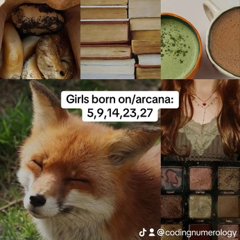 A cover of "IG matrixofdestiny" cluster. The owner is codingnumerology. The cluster consists of 1 element.