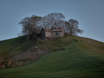 A cover of "ai" cluster. The owner is luke. The cluster description is "playing around in midjourney". The cluster consists of 115 elements.