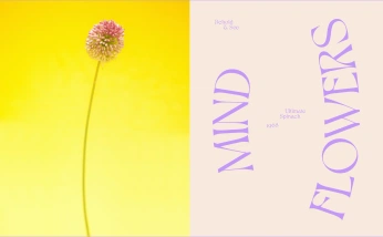 A cover of "GrowthMindset" cluster. The owner is franzilovesart. The cluster consists of 40 elements.