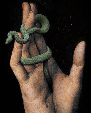 A cover of "Slytherin aesthetic" cluster. The owner is bulletproof7. The cluster consists of 7 elements.