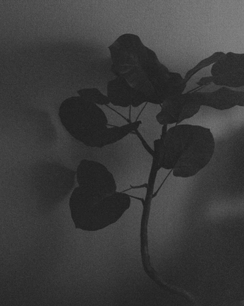 A cover of "how it feels" cluster. The owner is may4witha. The cluster consists of 14 elements.