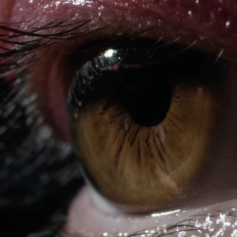 A cover of "behold" cluster. The owner is obnimi. The cluster consists of 54 elements.