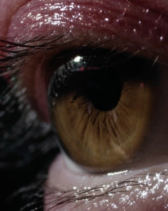 A cover of "Realistic" cluster. The owner is s0kyp. The cluster consists of 13 elements.