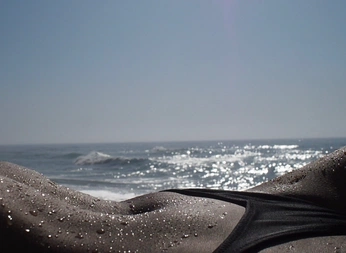 A cover of "mood portfolio" cluster. The owner is llaabb. The cluster consists of 65 elements.