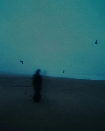 A cover of "TORI" cluster. The owner is farfama. The cluster consists of 115 elements.