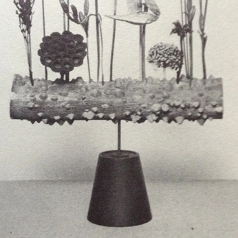 A cover of "RO" cluster. The owner is rareorchid. The cluster consists of 13 elements.