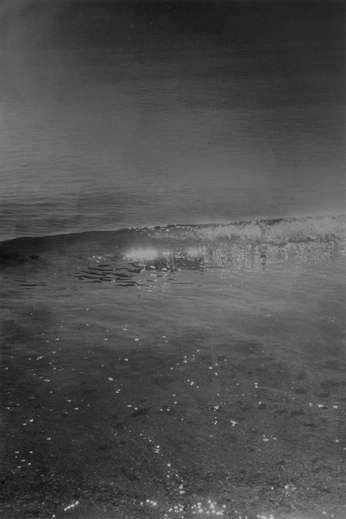 A cover of "BEACH" cluster. The owner is blancobungalow. The cluster consists of 14 elements.