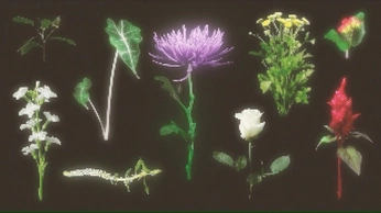 A cover of "FLOWER" cluster. The owner is illegirl. The cluster consists of 2 elements.