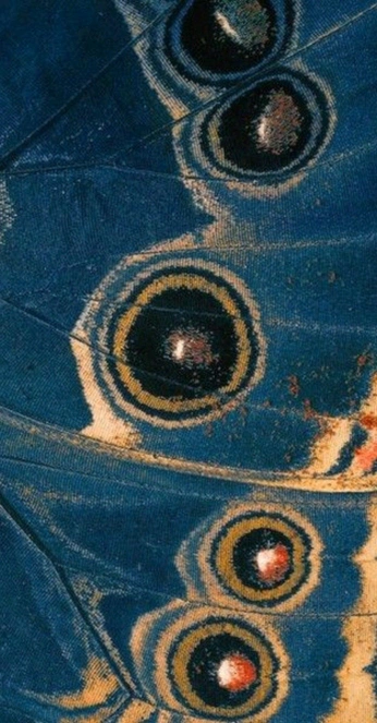 A cover of "u502" cluster. The owner is stillrein. The cluster consists of 11 elements.