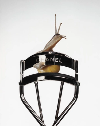 A cover of "branding" cluster. The owner is designsbyaniket. The cluster consists of 31 elements.