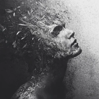 A cover of "Digital Art" cluster. The owner is davity. The cluster consists of 317 elements.