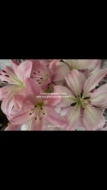 A cover of "movies" cluster. The owner is luvs.tea. The cluster consists of 1 element.