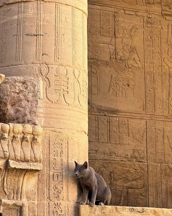 A cover of "History Buff" cluster. The owner is ayuandharyni. The cluster consists of 9 elements.