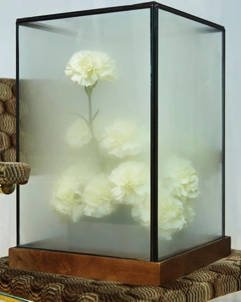 A cover of "Nature" cluster. The owner is gemmalee. The cluster consists of 38 elements.