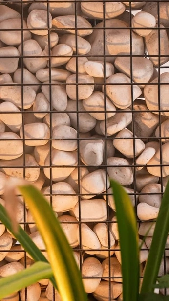 A cover of "Places" cluster. The owner is fatami. The cluster consists of 1 element.