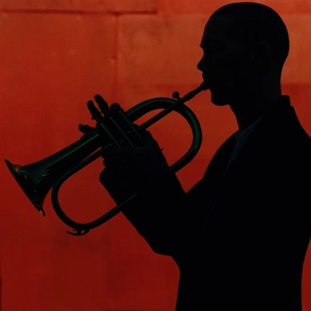 A cover of "Jazz" cluster. The owner is kekomaru. The cluster consists of 6 elements.