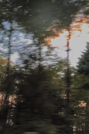 A cover of "Nature Backgrounds" cluster. The owner is madiego. The cluster consists of 19 elements.