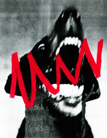 A cover of "Poster" cluster. The owner is kudeiar. The cluster consists of 1 element.