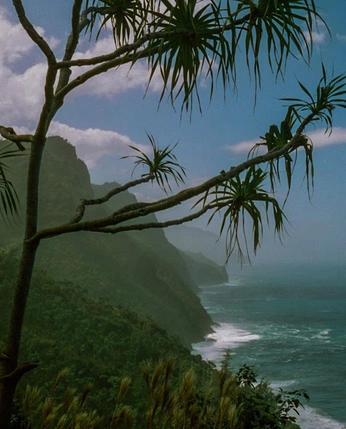 A cover of "nature" cluster. The owner is emmajb. The cluster consists of 34 elements.