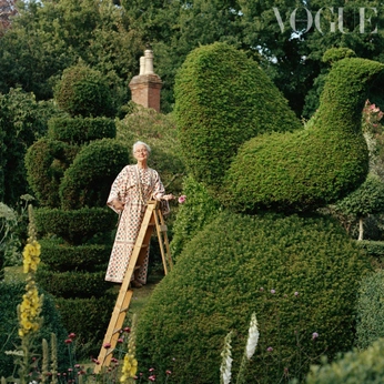 A cover of "Ever Green" cluster. The owner is melovkap. The cluster consists of 9 elements.