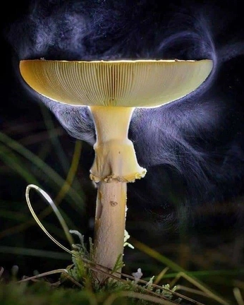 A cover of "Thesis" cluster. The owner is admjewelry. The cluster consists of 76 elements.