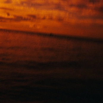 A cover of "orange" cluster. The owner is 2002user. The cluster consists of 4 elements.