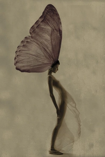 A cover of "donna dior" cluster. The owner is juliaoraa. The cluster consists of 14 elements.