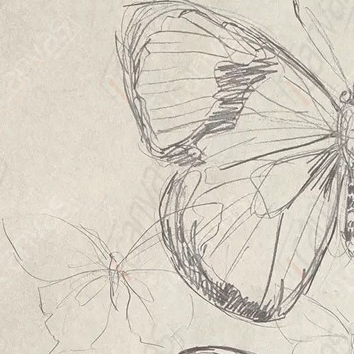 Sketches