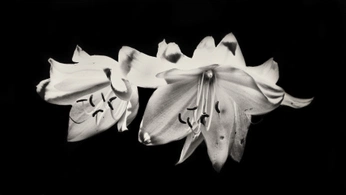 A cover of "2023" cluster. The owner is benn. The cluster consists of 83 elements.