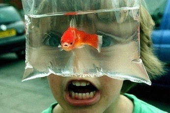 A cover of "Kulge & be" cluster. The owner is artchived. The cluster consists of 11 elements.