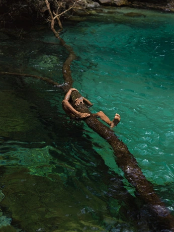 A cover of "ode" cluster. The owner is marianacaro. The cluster consists of 57 elements.