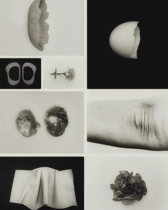 A cover of "moodboard" cluster. The owner is studioheyda. The cluster consists of 2 elements.