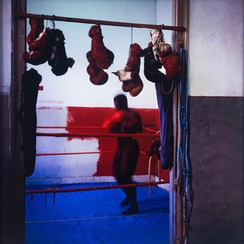 A cover of "vs/boxing" cluster. The owner is garrettking. The cluster consists of 24 elements.