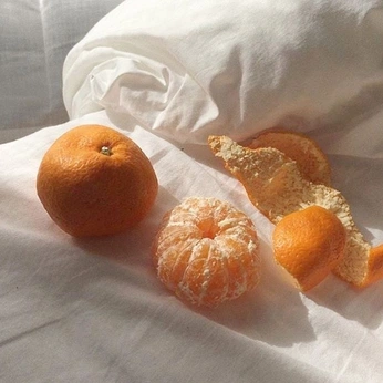 A cover of "Daylight" cluster. The owner is bradley. The cluster consists of 245 elements.