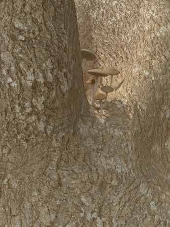 A cover of "甲辰" cluster. The owner is serenearth. The cluster description is "of mountains & mushrooms: A mood board for 2024 Yang Wood Dragon year". The cluster consists of 44 elements.