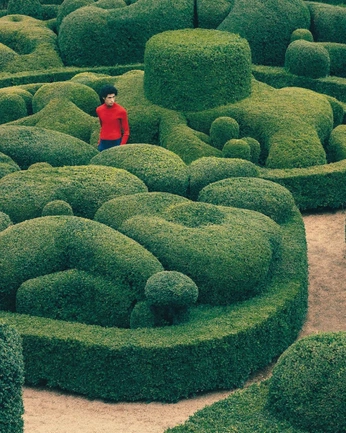 A cover of "maze of my own" cluster. The owner is daily.moodlist. The cluster consists of 11 elements.