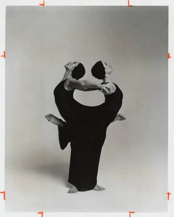 A cover of "Movement" cluster. The owner is mbell. The cluster consists of 35 elements.