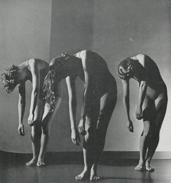 A cover of "Loose and mindflowers" cluster. The owner is cerfdansant. The cluster description is "Dandelion Dante ". The cluster consists of 25 elements.