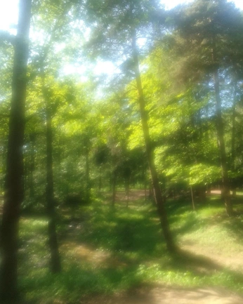 A cover of "dreamcore" cluster. The owner is slavensio. The cluster consists of 6 elements.