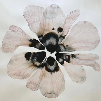 A cover of "Jaspers Song" cluster. The owner is shammah. The cluster consists of 15 elements.