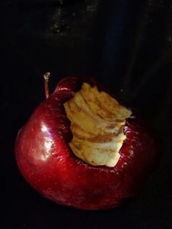 A cover of "rotner" cluster. The owner is sigridvetti. The cluster consists of 2 elements.