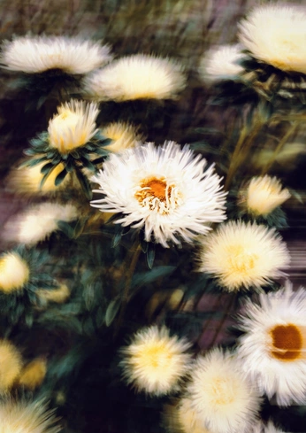 A cover of "Silly Sketches" cluster. The owner is nathanjohncooper. The cluster consists of 16 elements.