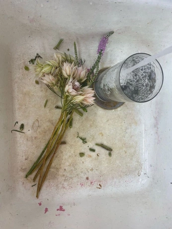 A cover of "ö☆" cluster. The owner is pearlai. The cluster consists of 20 elements.