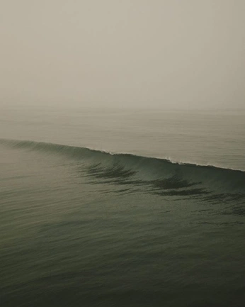 A cover of "Photography" cluster. The owner is forthedogooders. The cluster consists of 61 elements.