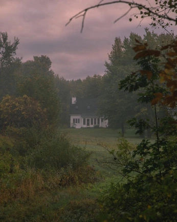 A cover of "dark cottagecore" cluster. The owner is babysbreath. The cluster consists of 42 elements.